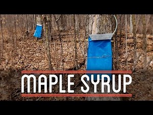 Making Maple Syrup | How to Make Everything: Root Beer Float (3/7)