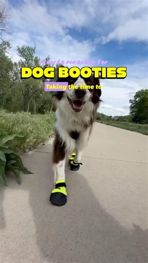 How to measure booties for your dog 👇