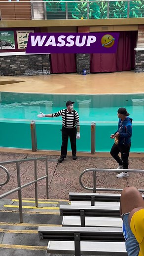 Fun Mime Antics 🤣 #mime #seaworldmime #funny #funnyvideosdaily #funnyprank #goodvibes #adventuresthatrock | Adventures That ROCK