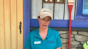 8K views · 247 reactions | In honor of #NationalZookeeperWeek, we...