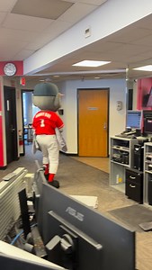 Buddy Bat Snow Fox = chaos in the newsroom! Wonder what big mascot event is coming up that would have them together? 🤔 | WDRB News