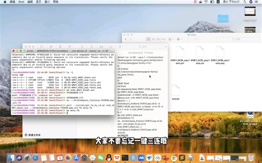 【基因家族分析】通过blast法鉴定基因家族成员！
