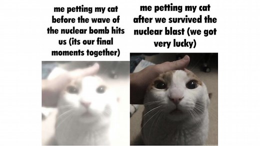 Me Petting My Cat Before the Nuclear Blast | Know Your Meme