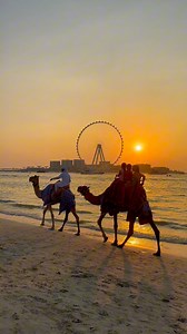 6.4K views · 201 reactions | Golden Hour Dubai 殺 #dubai #indubai #dxb #uae #sunset | Rine Lucia | Facebook