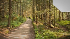 Energía azul o energía osmótica, ¿Qué es y cómo funciona?