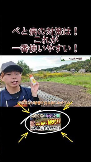 [Onion] This is the solution to insect control! #Agriculture #Vegetables #Minokamo City #Home Gar...