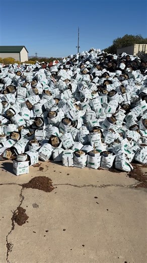 MORR, Inc. on Instagram: "Aren’t you glad those bags are biodegradable? We analyzed every aspect of our coco coir to design a truly engineered solution and this is what we came up with: 1. ISO certified 2. Country of origin - Sri Lanka 3. Correct blend of Chip and peat 4. Correct levels of Water Holding Capacity to Air Porosity 5. Lowest EC content available and no onsite washing needed 6. No buffering required 7. OMRI certified 8. Biodegradable wrapper and mesh insert for low post harvest labor