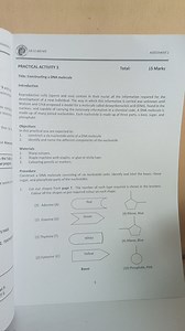 Practical Activity: Constructing a DNA MoleculeObjectives:C... | Filo