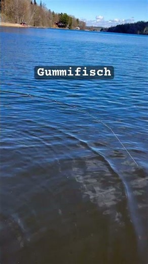 Raubfisch angeln mit Bio Gummifisch
