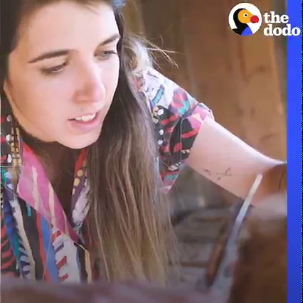 A snail showed up in this lady's dog grooming salon — so she made a snail-sized flower crown 🐌🌸 | The Dodo