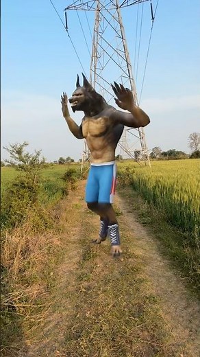 Wolf in Village#wolf #wildlife #forest#nature #wolfsounds #viralshorts#wolfsong#shorts #virals