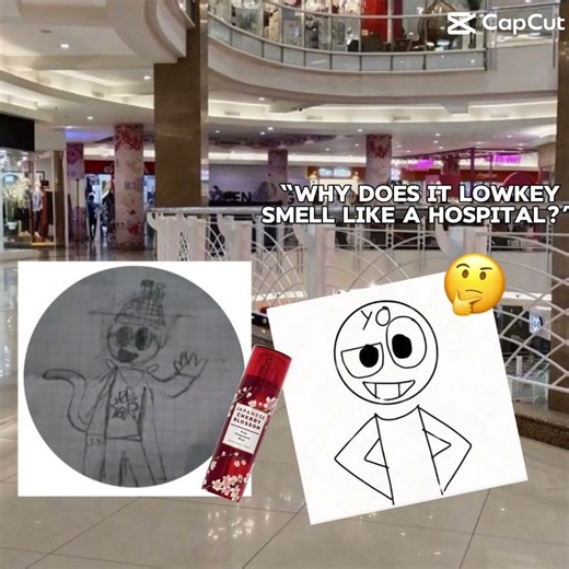 Xd
