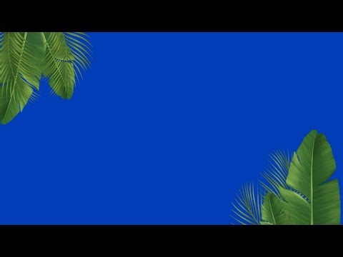 Tropical Leaf Animation 4K Green Screen 🌴 | Free Nature Background Video for Editing & VFX