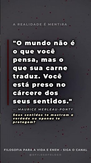 fenomenologia da percepcao 24