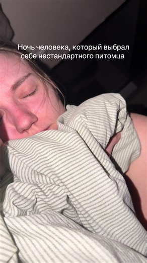 Так происходит раз в год #рек | surprising people with pets