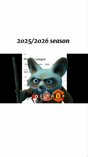 This season is something else Follow @kennerdy24 #epl #football #englishpremierleague #manchesterunited #sanderland #arsenal #liverpool #manchestercity #chelsea #everton #astonvilla #footballmemes #soccer #reel #funny #kungfupanda | Ken Nerdy | Facebook