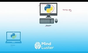Mind Luster - Learn 1 The Reverse Shell Strategy Exploring Network Security and Remote Access YouTube Tutorial