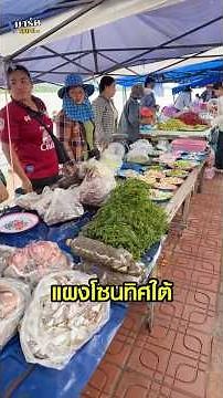 ตลาดนัดไทย-ลาวท่าอุเทน มีอะไรขายบ้าง? ไปดูของสดๆ กันครับ! | Mark BPP Market Tour