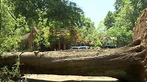 Conway storm damage worst in decades, officials say