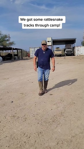 Not sure what kind of snake it is but I'm guessing that it's a big ol rattlesnake! Better watch your step! #YerAWizard #rattlesnake #snakeboots