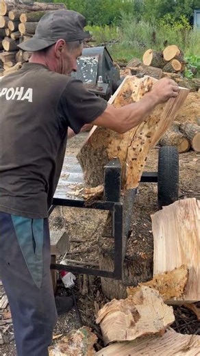 Extreme splitting of an old stump #wood #woodworking