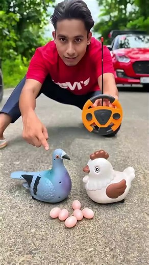 Unboxing Egg Wala Chicken and Remote Control Birds