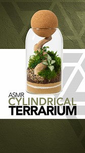Relax. Unwind. It’s terrarium time. Here’s a little ASMR of a terrarium I made awhile back. If you love terrariums or are interested in learning how to make terrariums, follow along for more projects! 🌱 #terrarium #plants #moss | Johnathon Q Swanson