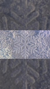 Contextual Advertising | Unlock measurable performance at scale | SilverPush