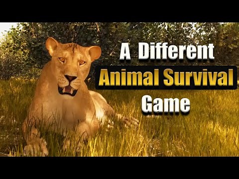 Everything You Need To Know About PRIMAL EARTH