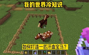 我的世界冷知识，改变马匹基因，打造“跑车速度”的汗血宝马