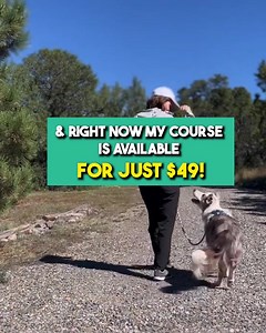 8K reactions · 622 shares | Distracting your reactive dog DOES NOT...