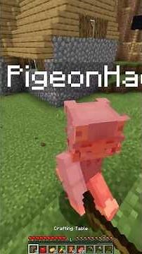 I Installed The Jenny Mod Without My Friend Knowing…