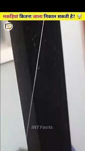 How Much Web A Spider Spelling In One Time? 🤯 #shorts #interestingfacts #interesting #amazing #mindbowingfacts #viral #amazingfacts #mindfacts #knowledge #top #trendingfacts #intfacts #spider #spiderweb any copyright issues : Email me 👉 createrofficial01@gmail.com If you have any problem. when I am using some clips from your video. I will delete it immediately 1. I am not misusing your video. 2 I am using your video for entertainment and information purposes. 3. I will take full care that my v