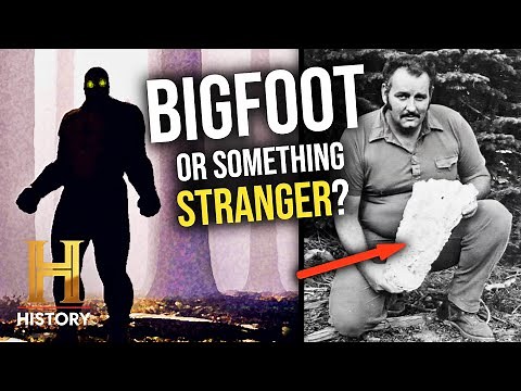 4 Eyewitness Stories of Bigfoot Sightings | The Proof Is Out There | History
