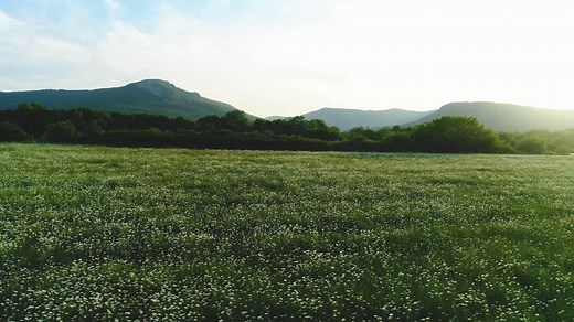 Beautiful Meadow with Mountains in the Background | Free Stock Video Footage