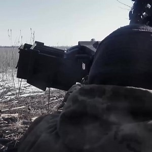 43K views · 358 reactions | Moments of calm are rare. | Best Documentary | Facebook