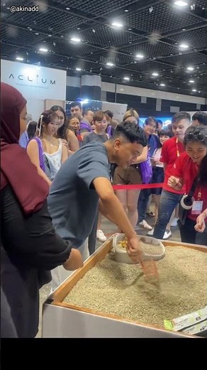 Cat poop ❌️ || poo poo ✅️ || poop game (🎥_@akinadd)