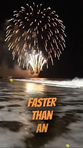 Why you should NEVER swim at midnight! 🌊💀 #didyouknow #factflow #nature