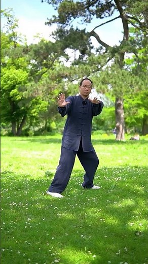 Traditional YANG Style Tai Chi