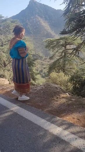 Person Interacts with Monkey in Scenic Mountain Setting