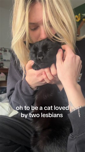 we love little loki #fyp #cat #wlw #blackcat #foryoupage