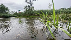 Pentagon vows to fight climate change's impact on military installations