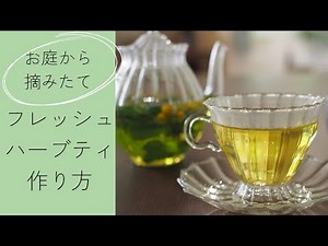 レモングラスを収穫！おいしいフレッシュハーブティーの作り方