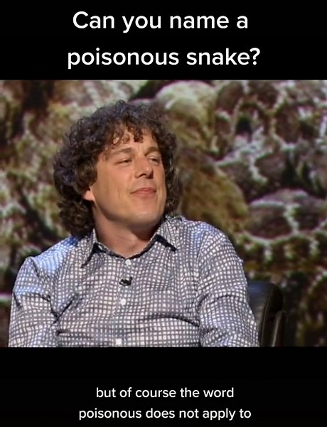 Quite Interesting on TikTok