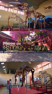 ¡HOY! La historia continúa… En esta segunda parte del documental, exploramos más allá de sus montañas, sus ríos y su gente inquebrantable. 👏😍 ¡No te lo pierdas este viernes 28 de marzo por Guatemala TV! 📺Canal 30 de Tigo | 46 de Claro 🌐 guatemalaplus.com | Guatemala.com