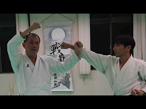 《空手道》平安二段分解運用