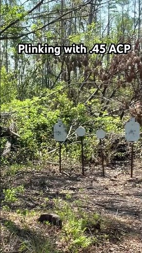 Shooting Steel with .45 ACP #hunting #shoot #1911