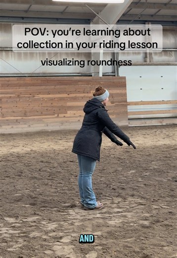 Understanding Horse Collection in Riding Lessons