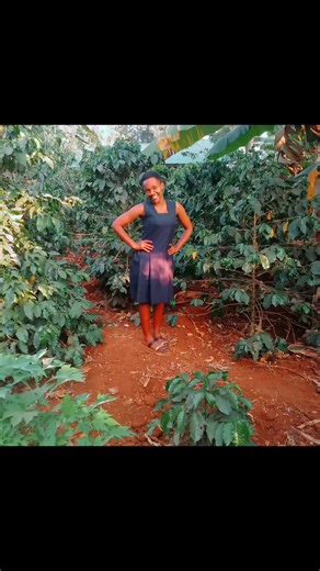 Myrieh Mariah (@myrieh.mariah)’s videos with original sound - Pius Pianist