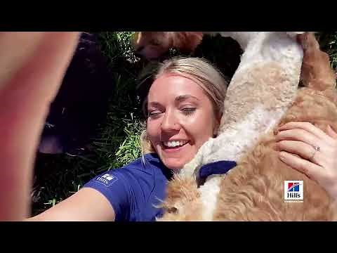 Hill’s Pet Nutrition: Science Did That